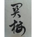 关梅：书法：公平执法，勤政为民，壁立千仞 无欲则刚