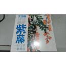 紫藤/学国画/笔墨传承 步骤规范   正版新书