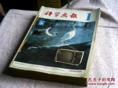 科学画报 1982年1——12期全，共12本合售