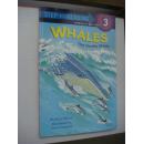 Step into reading 3: Whales 英文原版图文本 十品