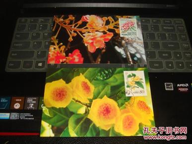 极限片：MC49 珍稀花卉