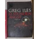 德语原版 12 Stunden Angst : Thriller von Greg Iles 著