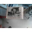 大闹望海站（无后封皮）