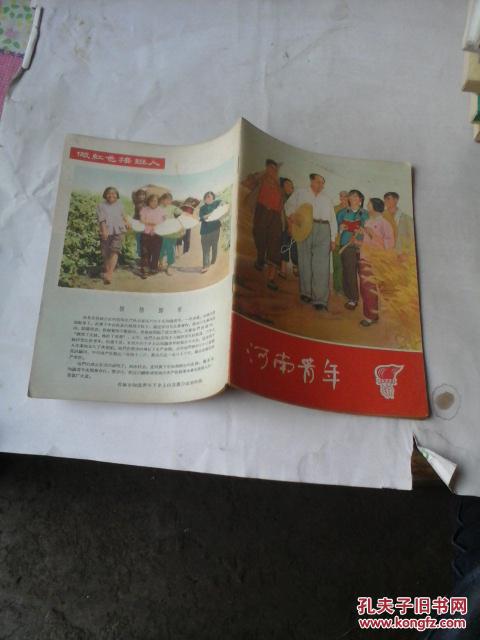 河南青年1966年第5期