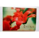 攀枝花风光明信片10张