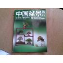 中国盆景赏石：第十八届华风展特别专辑