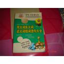 21世纪中国经济的航空母舰:控股公司原理与运.作