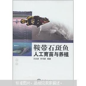 石斑鱼工厂化循环水养殖及病害防控技术（视频U盘）+1文字书籍 鞍带石斑鱼人工育苗与养殖