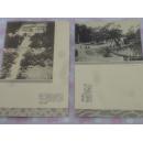 满洲国邮政明信片 《北陵 东陵的景趣》 6枚袋付