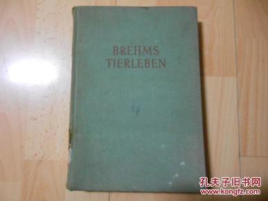 Brehms Tierleben(动物生活）德文版（16开精装,道林纸本，大量彩图）