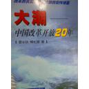 大潮－－中国改革开放20年