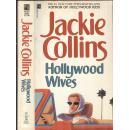 《好莱坞的夫人们》Hollywood wives by Jackie Collins  考琳斯著  1983年