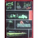 十万个为什么之植物学（2）