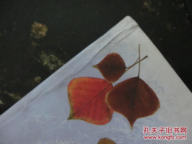 阿赫玛托娃诗文集