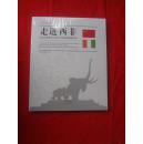 走进西非