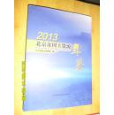 北京市国土资源年鉴 2013 精装
