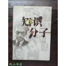 知识分子（汉译大众精品文库，保罗·约翰逊经典代表作！1999年9月1版2印，非馆无划，品近全新）【免邮挂】