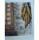 刘中:《刘中画集 三远堂》(补图)