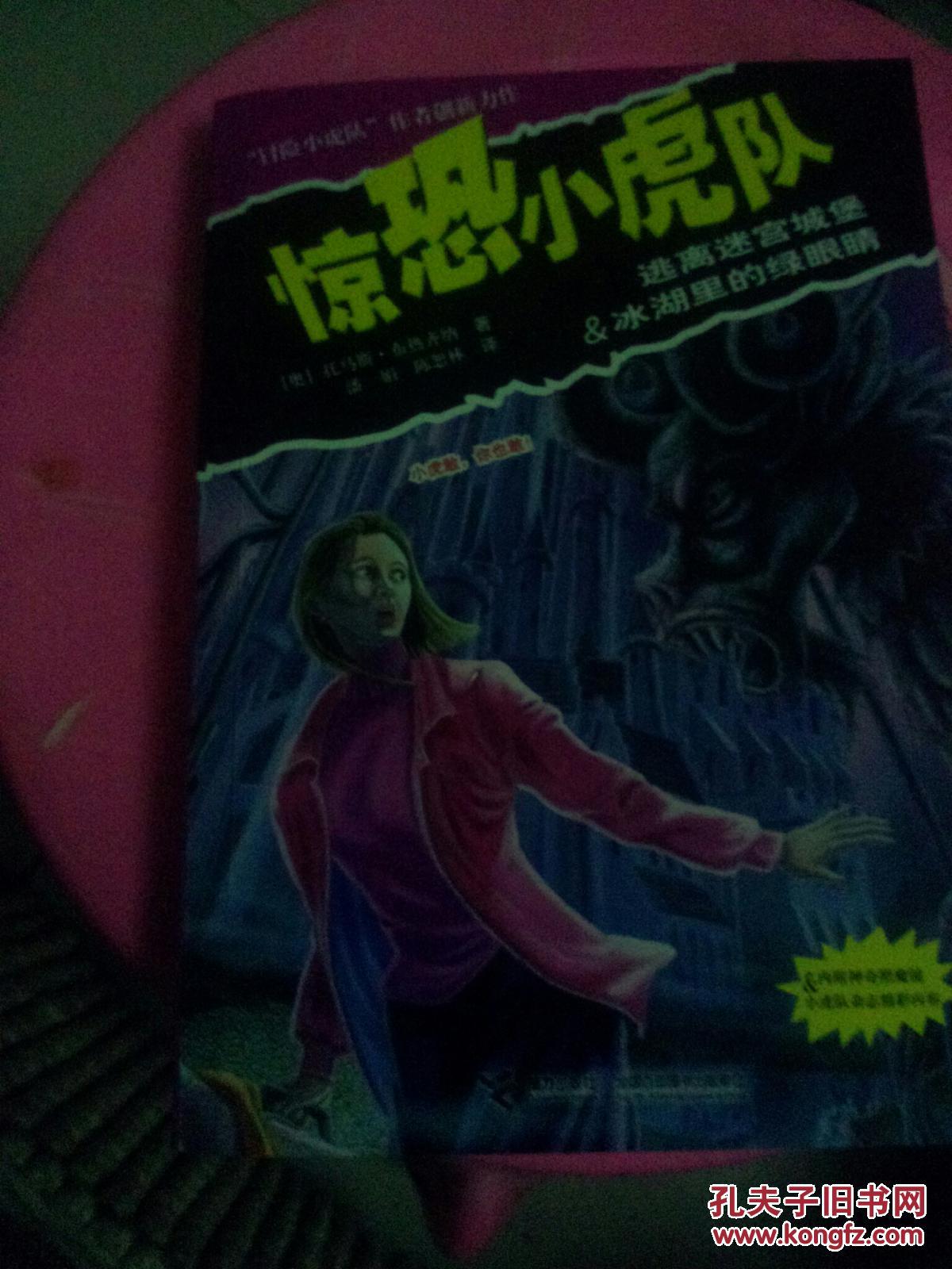 惊恐小虎队  逃离迷宫城堡&冰湖里的绿眼睛