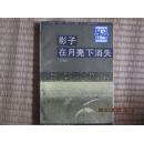影子在月亮下消失 +1263*