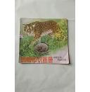 动物知识画册 动物怎样猎取食物