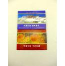 西藏明信片：中国西藏·布达拉宫（建筑艺术 文物珍藏  合计20枚 库存全新）