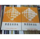 中国新文学丛刊 赵淑侠自选集 初版 台版书