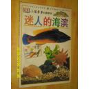 迷人的海滨