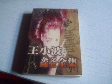 王小波杂文随笔全集-----1998年－版－印----汇集了一个真正有良知的作家和知识分子的良心之作