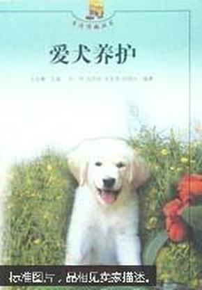 爱犬养护——生活情趣丛书