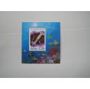 朝鲜2000年海洋动物小型张原胶新票1枚(138)小瑕疵