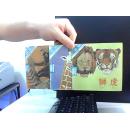 动物 1-4岁婴幼儿知识读物【狮虎 长颈鹿 熊】3本
