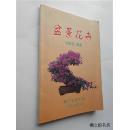 盆景花卉（刘友坚编著 1999年1版1印 正版私藏）