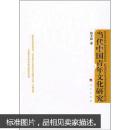 当代中国青年文化研究