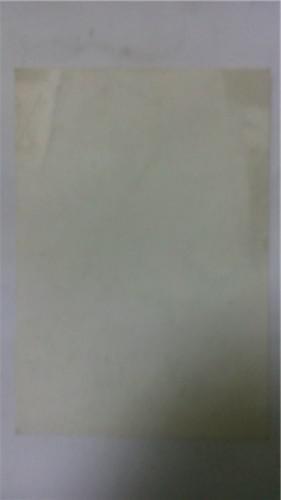 春天（画页）