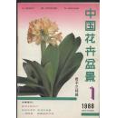 020.中国花卉盆景（1988年第1期） 9品（品相认定，仅供参考）