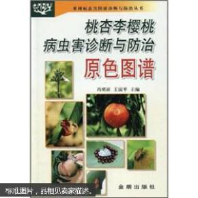 大樱桃种植技术书 种车厘子书 桃杏李樱桃病虫害诊断与防治原色图谱