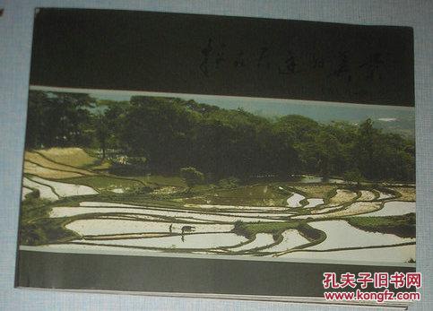 挂在天边的美景 陈根兴赴元阳 龙脊梯乡采风掠影