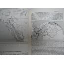 《The United states:habitation of hope》英文原版精装插图