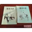 早期武打书：《神拳奇掌》（上 下）