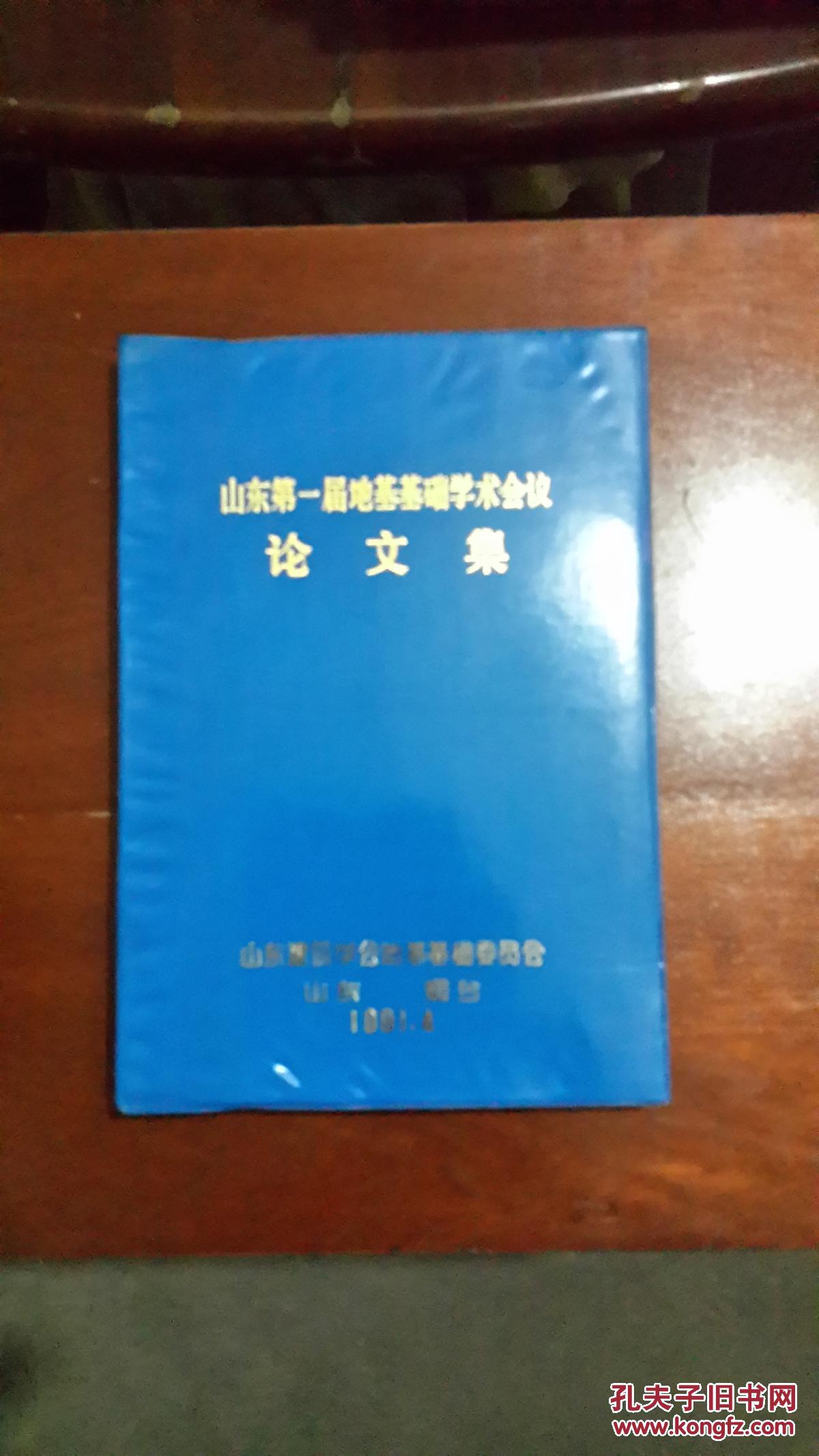 山东第一届地基基础学术会议.论文集（16开塑皮软精装 厚册313页）