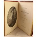 1890年纽约出版英国浪漫主义诗人塞缪尔·泰勒·柯尔律治作品 《古舟子咏 》古斯塔夫多雷的53幅板画插图