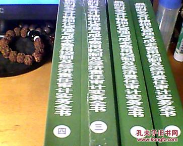 最新财务会计精细化管理与成本费用 及经济责任审计实务全书（第一卷至第四卷全）【正版全新】