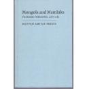 蒙古人和马穆鲁克   蒙元史 全球史 军事史