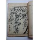 少有的《中国日本花卉植物》线装本，古色古香，24开
