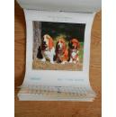 2006年挂历 旺年吉祥 狗(7张全)