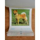 2006年挂历 旺年吉祥 狗(7张全)