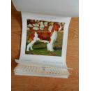 2006年挂历 旺年吉祥 狗(7张全)