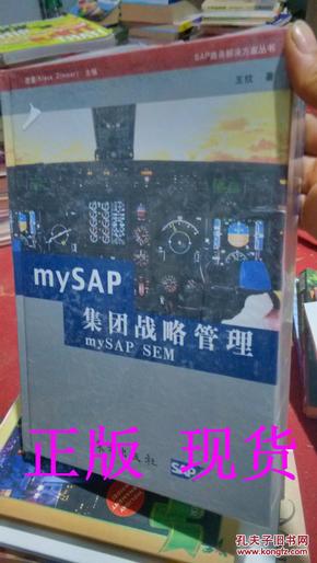 mySAP集团战略管理