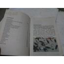 《LINING THINGS-ANIMALS》